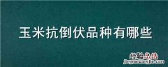 玉米抗倒伏品种有哪些优点 玉米抗倒伏品种有哪些
