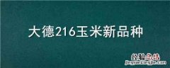 大德216玉米新品种 大德216玉米品种简介