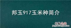 邦玉353玉米品种简介 邦玉917玉米种简介