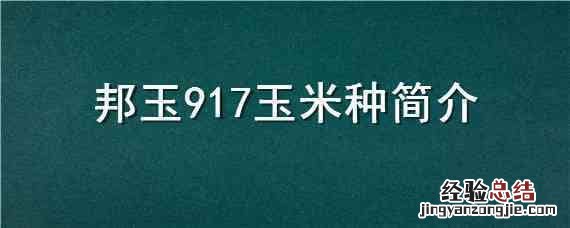 邦玉353玉米品种简介 邦玉917玉米种简介