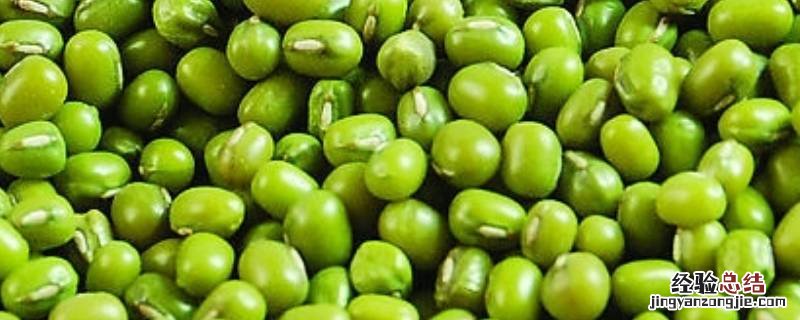绿豆煮多久才会熟 煮绿豆煮多久会熟透?