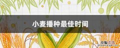 小麦播种最佳时间 小麦播种最佳时间节气