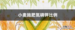 小麦施肥氮磷钾比例 小麦种植氮磷钾的比例