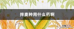 拌麦种用什么药啊小麦拌种剂 拌麦种用什么药啊