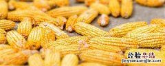 强盛399玉米品种介绍 强盛199玉米