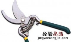 修剪树木的工具有哪些 修剪树木的工具有哪些?