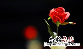 小苏打水可以浇花吗 小苏打水可以浇花吗幼儿园