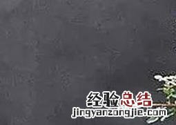 金雀盆景的制作与养护方法 金雀盆景的制作与养护