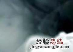 小苍兰的养殖方法和养殖技巧 花卉小苍兰的养殖方法