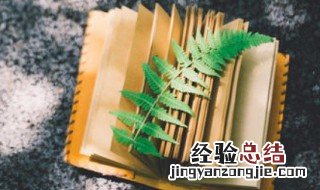种多音字组词 种多音字组词和拼音怎么写