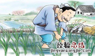 北人食菱文言文翻译 了解一下