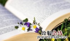山水有相逢的下一句是什么 山水有相逢的下一句介绍