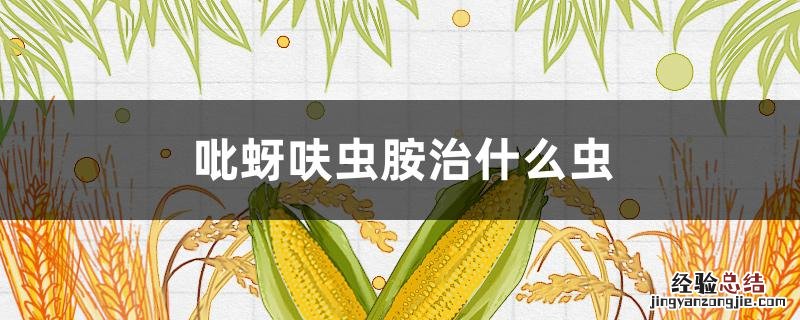 吡蚜.呋虫胺使用方法 吡蚜呋虫胺治什么虫
