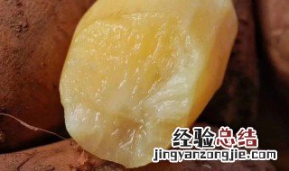 生吃雪莲果的功效和危害 生吃雪莲果的功效与禁忌