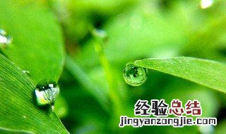 dewy是什么意思中文 送给需要的你