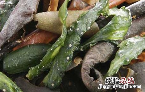 冬瓜的做法大全家常菜 视频 冬瓜的做法大全