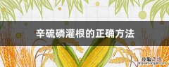 辛硫磷灌根的正确方法和时间 辛硫磷灌根的正确方法