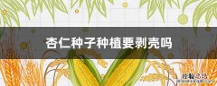 杏仁种子种植要剥壳吗 杏仁种植前用什么方法破壳?