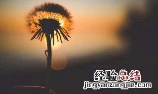 最温暖的午安心语图片 最温暖的午安心语
