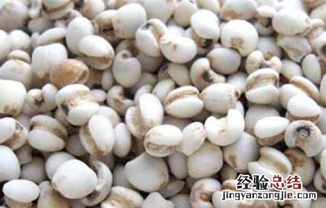 薏苡仁的食用方法 薏苡仁的食用方法及禁忌