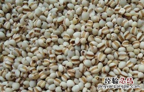 薏苡仁的食用方法 薏苡仁的食用方法及禁忌