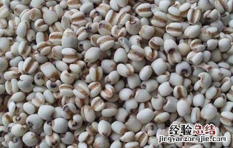 薏苡仁的食用方法 薏苡仁的食用方法及禁忌