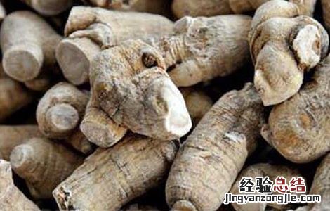 西洋参怎么吃 西洋参怎么吃效果最好