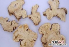 白术 白术的儿子是亲生的吗