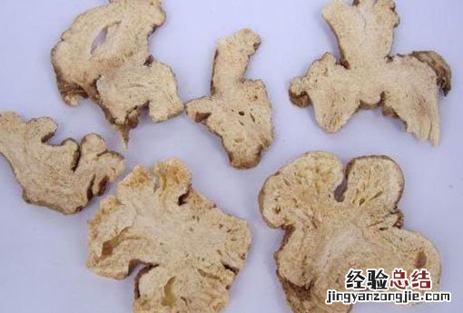 白术 白术的儿子是亲生的吗