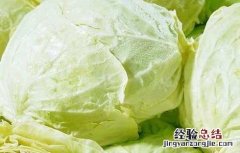 凉拌卷心菜的做法 凉拌卷心菜的做法大全家常窍门