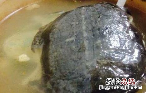 甲鱼汤的做法 甲鱼汤的做法大全煲汤视频