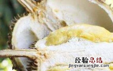 榴莲蜜和菠萝蜜的区别图片 榴莲蜜和菠萝蜜的区别