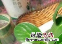 碧玉花的叶子发黄原因 碧玉花的叶子发黄原因有哪些