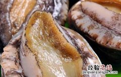 干鲍鱼的泡发方法以及注意事项 干鲍鱼的泡发方法