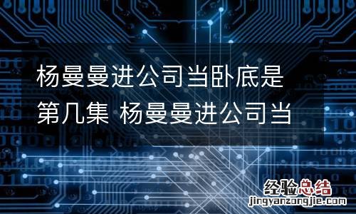 杨曼曼进公司当卧底是第几集 杨曼曼进公司当卧底是第几集的