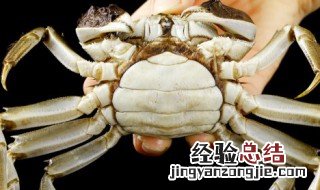 螃蟹怎么存放不会死 保存螃蟹不死的妙招