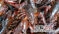 小龙虾怎么存放不会死 如何储存小龙虾不会死
