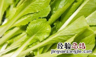 小白菜怎么存放 保存小白菜的窍门