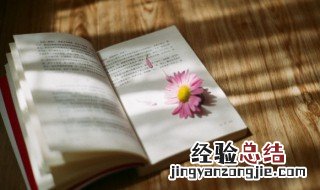 凌驾的意思 凌驾是什么意思