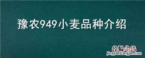 豫农949小麦品种介绍视频 豫农949小麦品种介绍