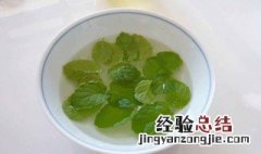 薄荷用多少的水温泡最好 薄荷用多少的水温泡