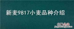 新麦9817小麦品种介绍 新麦9817高产吗