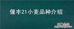 偃丰21小麦品种介绍 小偃81小麦品种介绍