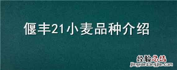 偃丰21小麦品种介绍 小偃81小麦品种介绍