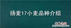 扬麦17小麦品种介绍 扬麦系列小麦品种最高产的是哪一种