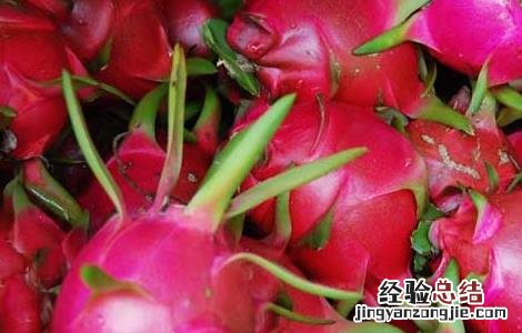 火龙果减肥法的正确吃法 火龙果减肥法的正确吃法视频