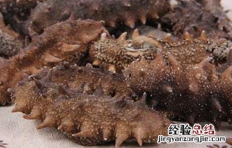 海参怎么吃最有营养14款 海参怎么吃最有营养