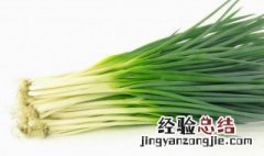 小葱生长期多少天 小葱生长期多少天浇一次水