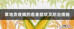 草地贪夜蛾的防治方法 草地贪夜蛾的危害症状及防治措施