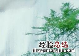 文竹盆景的制作与养护方法教程
